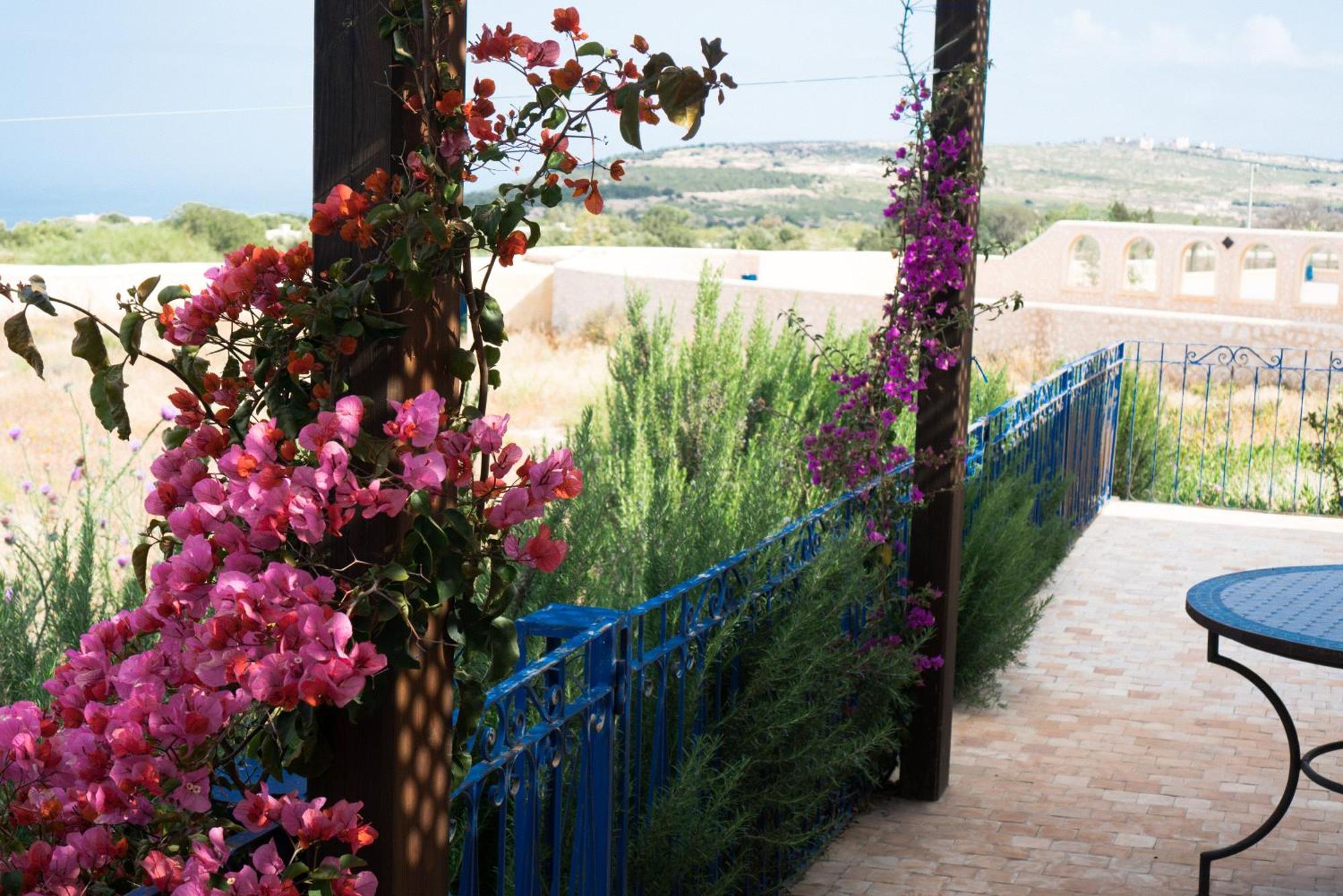 Villa Habibi Szavíra Kültér fotó